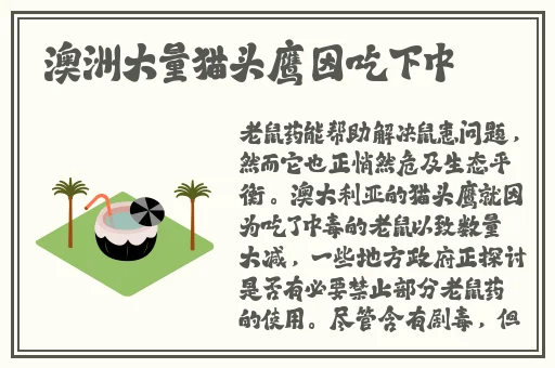 双女女视频车车好快的车车